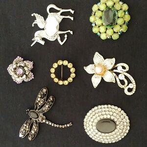 Brooches / Pins